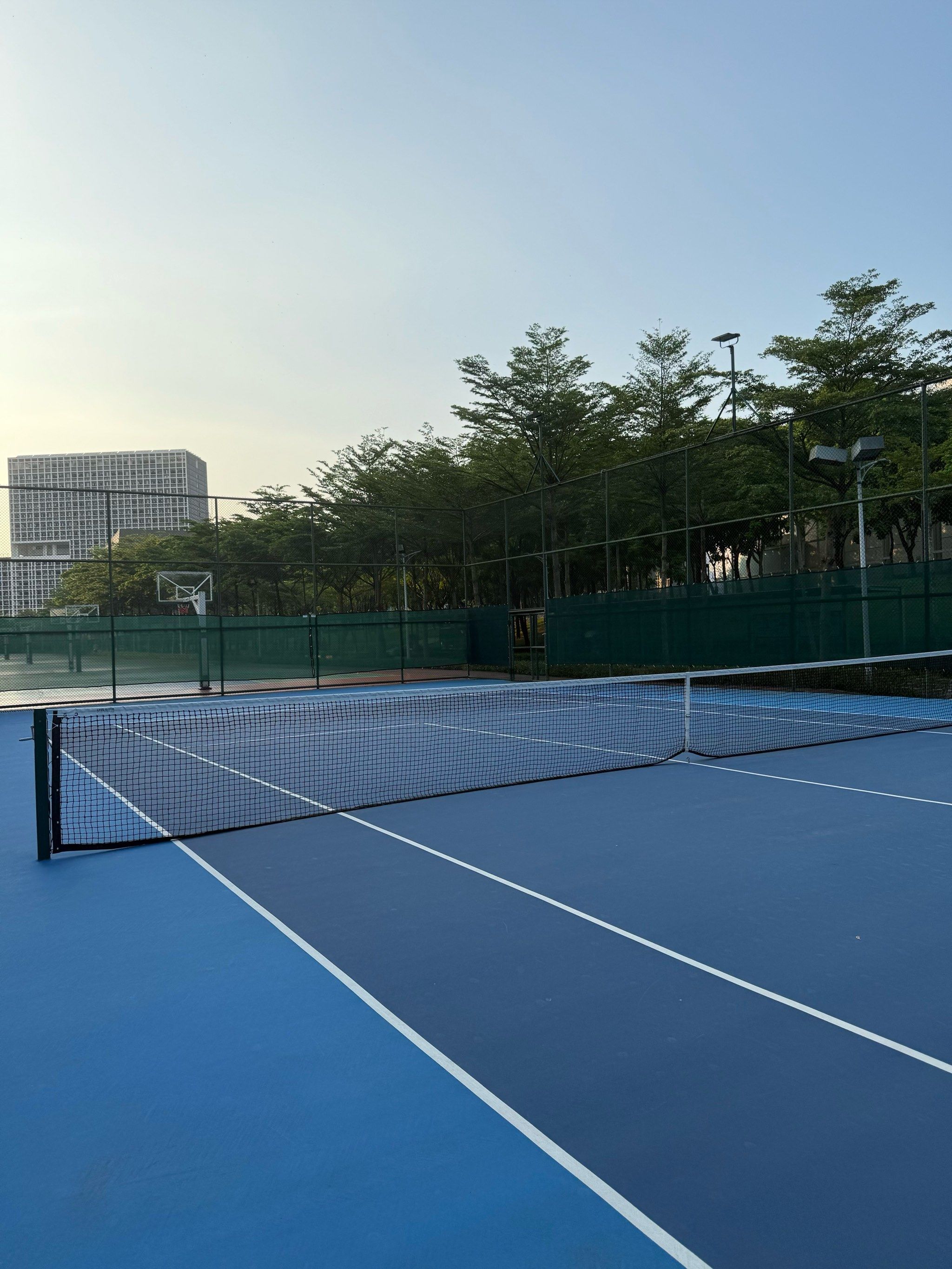 把体系中的 把体系中的